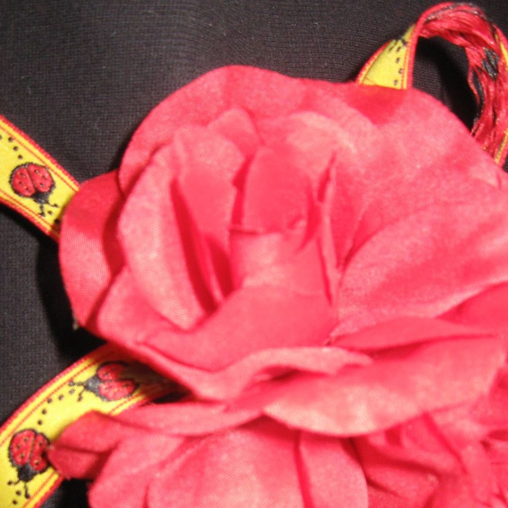 Meet your Posher, Rita